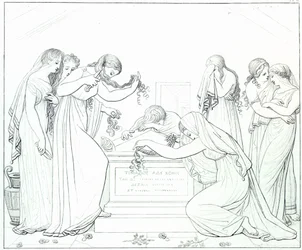 Illustration from the 